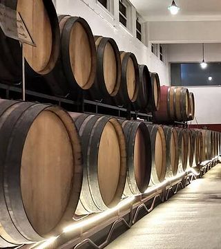 Reserve Your Wine Tasting and Tour at Adega Cooperativa da Vermelha