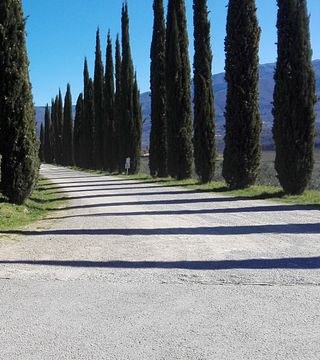 Degustazione di vino Chianti tradizionale a Pagnana