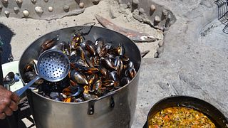 Esclusivo menu di pesce di 10 portate e bollicine sulla costa occidentale 🐟 evento!