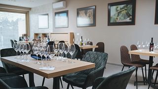 Esperienza di degustazione di vini superiore con tour della cantina | Azienda vinicola Ferenc Tóth