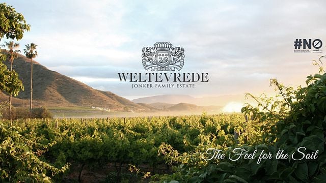 Crea Cap Classique en Weltevrede Wine Estate