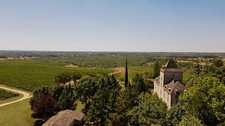 Tour dei vigneti e degustazione al Château de Haute-Serre