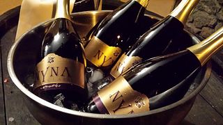 Esperienza enologica presso la cantina Horvat