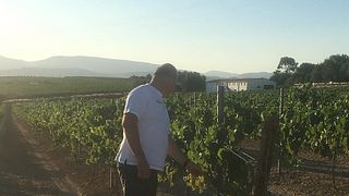 Catalan Wine & Picnic at Giró del Gorner
