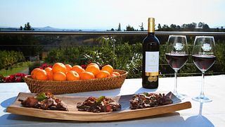 Abbinamento vino e biltong alla Marianne Wine Estate