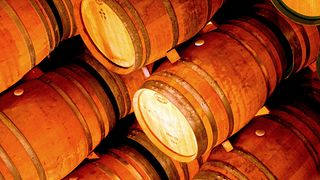 Fuga del vino Castano alle Bodegas Castaño