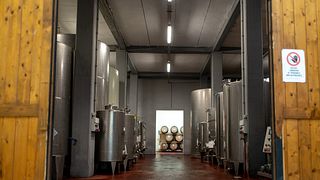 Dégustation de vins Evolution