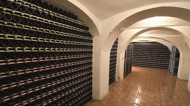 Dégustation de vins et visite à Istenič