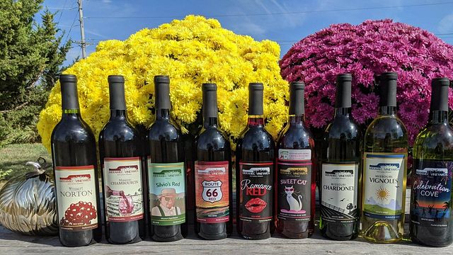 Wine Tasting and Tour at Meramec Vineyards Winery