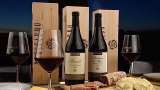 Cata de vinos y visita guiada en Broccardo
