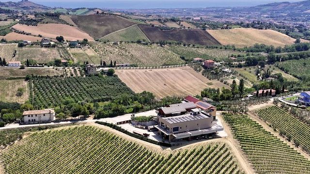 Il Conte Villa Prandone