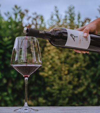 Degustação de vinhos e passeio na vinícola Palazzona Di Maggio