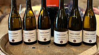 Tour privato della regione del Beaujolais, degustazioni di vini e ristorante locale
