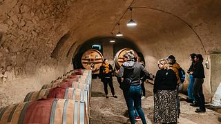 Tour alla scoperta del Castello dei Bachelard 