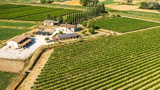 Cantina La Fonte