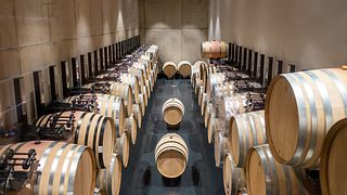 Degustação de vinhos em La Nascosta