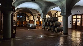 Degustação de vinhos e tour em Roccapesta