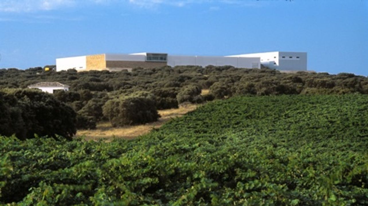 Finca Antigua