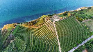 Sunset Vineyard Aperitif Experience
