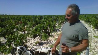 Cata de vinos y visita guiada en Domaine Benedetti