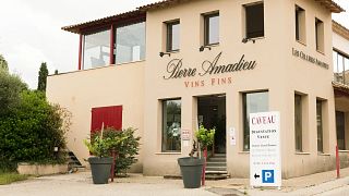 Gigondas-Weinprobe bei Pierre Amadieu