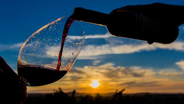 Weinprobe der Dez Tostões-Reihe