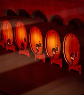Dégustation de vins et visite du Haut Piémont à La Piemontina