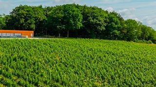 Vin Du Pays De Herve