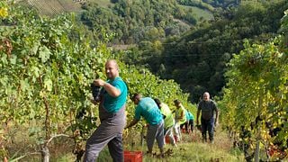 Weinprobe und Tour bei Giacomo Vico