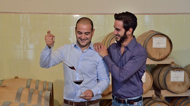Degustazione base di 4 vini con tour in Chianti presso l'azienda vinicola Terre Di Perseto
