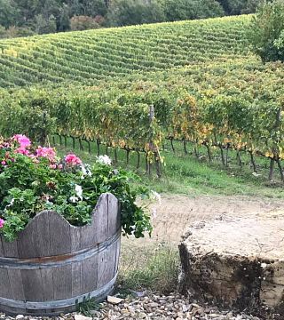 Casaloste Winery
