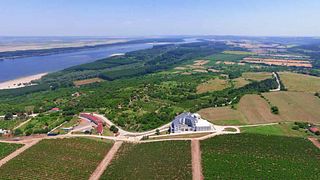 Chateau Burgozone