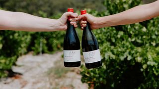 Willunga100 Winery