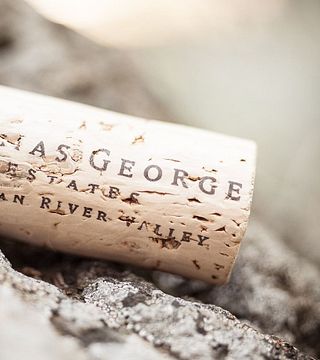 Degustación diaria y visita guiada en Thomas George Estates