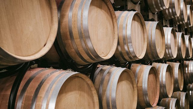 Descubra a herança vinícola de Genebra através de uma degustação de 5 vinhos.