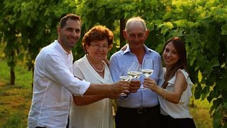 Tour especial e degustação de vinhos em La Svolta