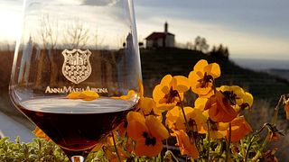 Dégustation de vins populaire à l'Azienda Agricola Anna Maria Abbonaoncucco 21