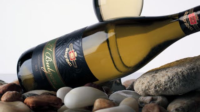 Belogradec - Varna Winery