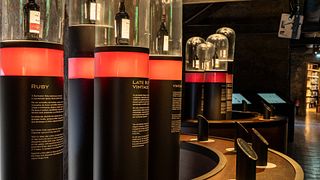 Burmester Wine Cellar: A Legacy of Excellence