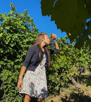 Dosio Vigneti