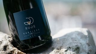 Veneto Vineyard Journey: Taste & Terroir at Ruge