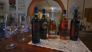 Veneto Organic Wine & Olive Oil Tasting at Le Tende