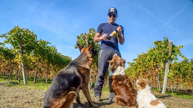 Todos los tonos de Soave