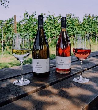 Weingut Zähringer: A Legacy of Biodynamic Winemaking