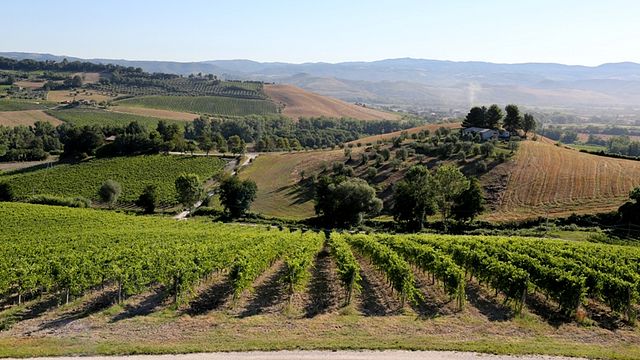Palazzone Winery
