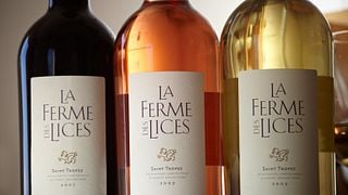 Wine tasting and tour at La Ferme des Lices