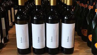 Vinprovning på Wine Art / Ethno
