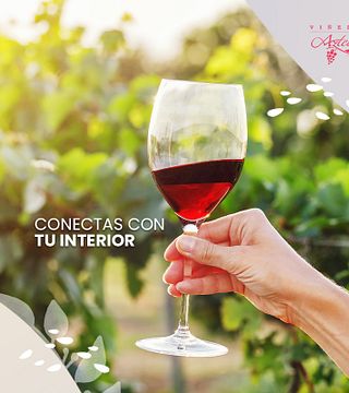 Visita e giro dei vigneti Azteca a Viñedos Azteca