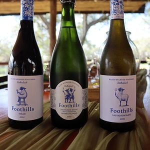 A Dream Come True — From Wedding Wine to Honeymoon Haven ⭐