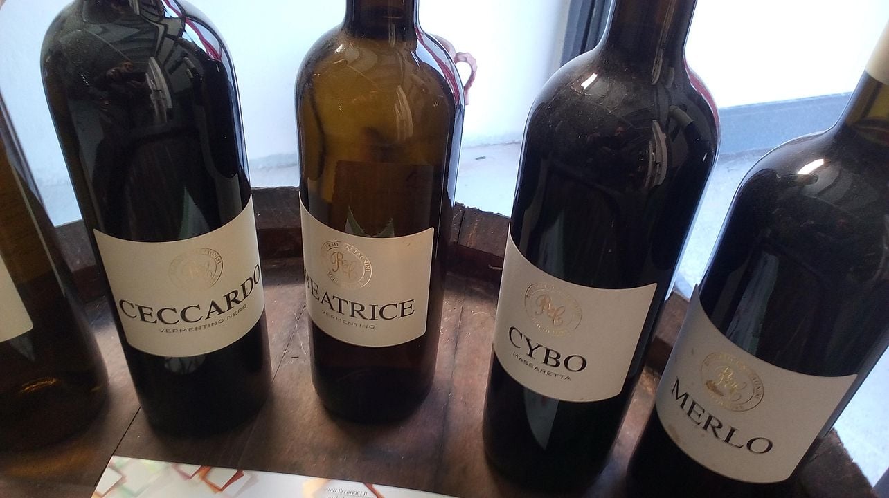 Tuscan Wine & Vineyard Tour at Vini Apuani